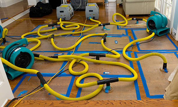 Professional Water Damage Repair technician working in North Waterford, ME